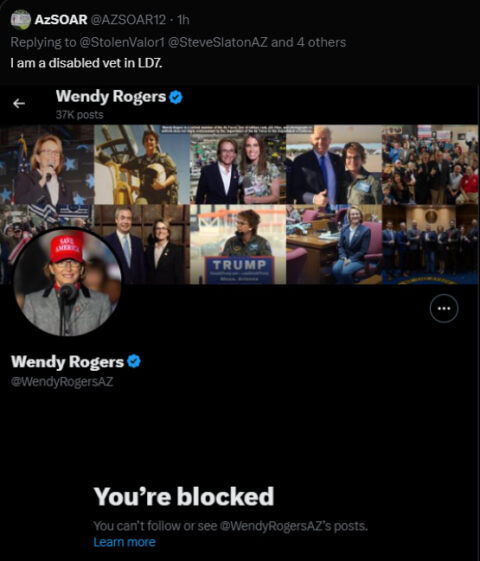 Exclusive Wendy Rogers Illegally Blocking Disabled Veteran In Her Own